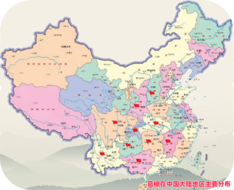 1743666252502764.png 葛根的分布_副本.png